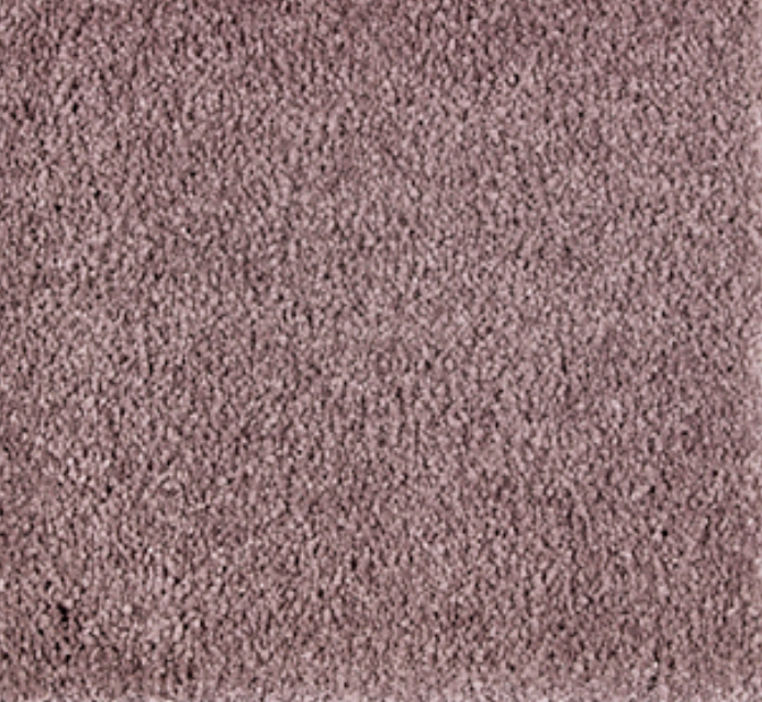 Exquisite Beauty - Image 17